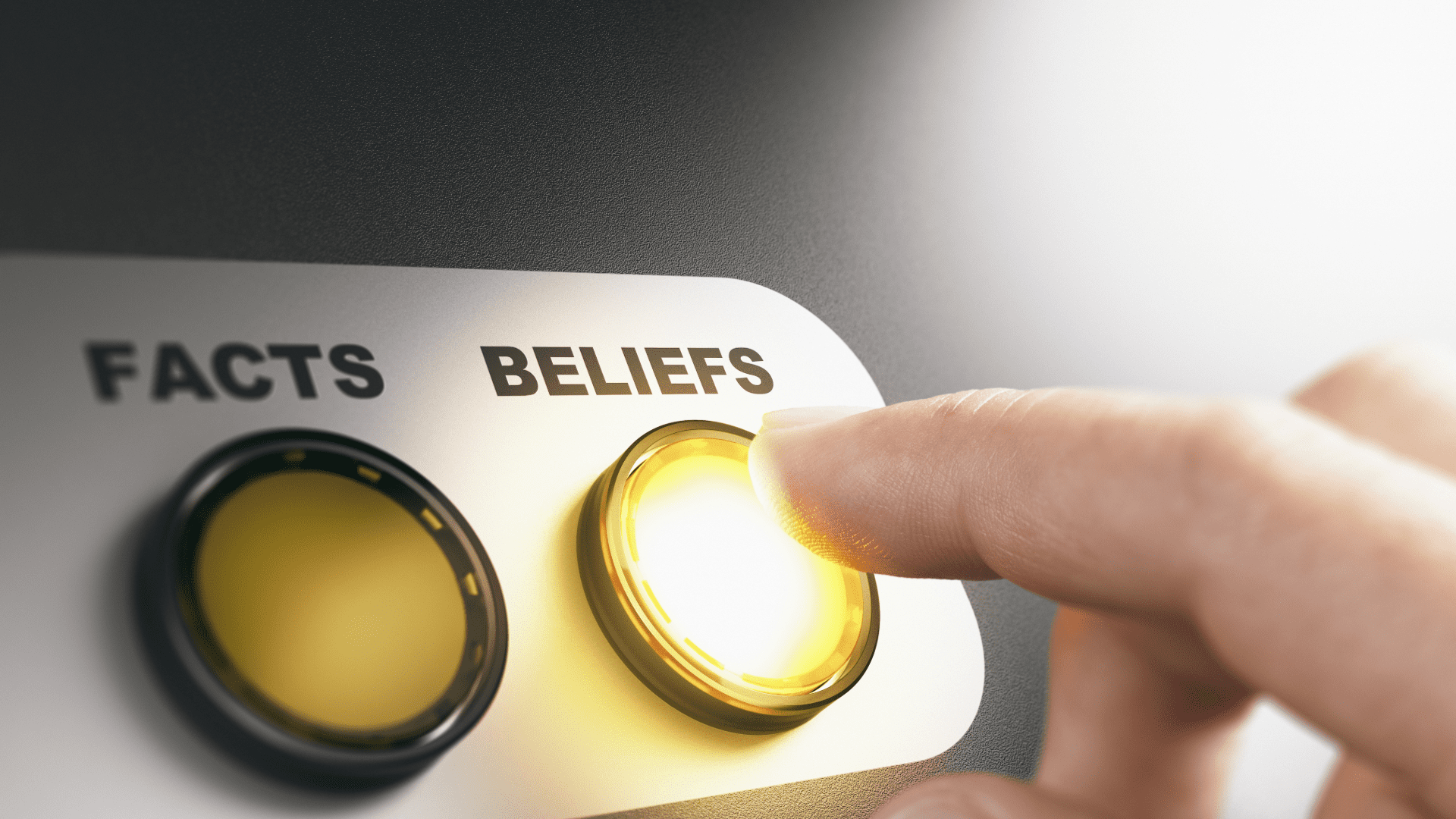 갤럽 신념 강점